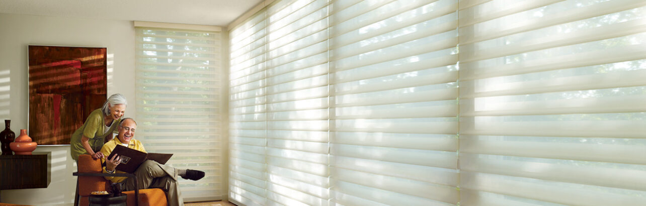 hunter douglas silhouette blinds 2008_SIL_Quartette_FamilyRoom