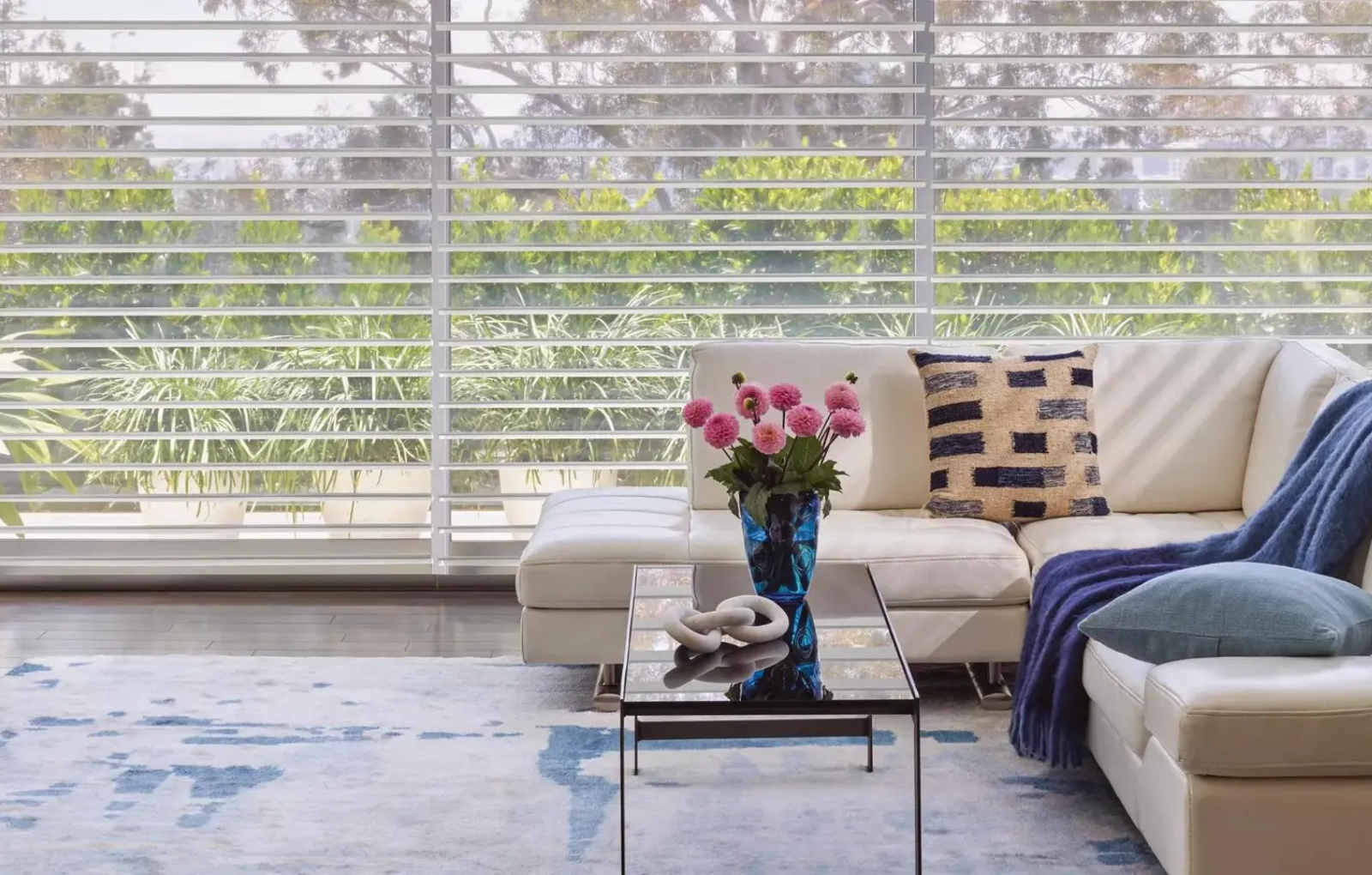 Hunter Douglas ClearView® Silhouette® Shades with Greenery View
